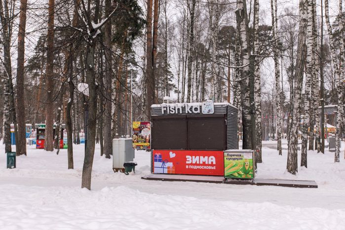 Центральный парк культуры и отдыха в Ногинске зимой