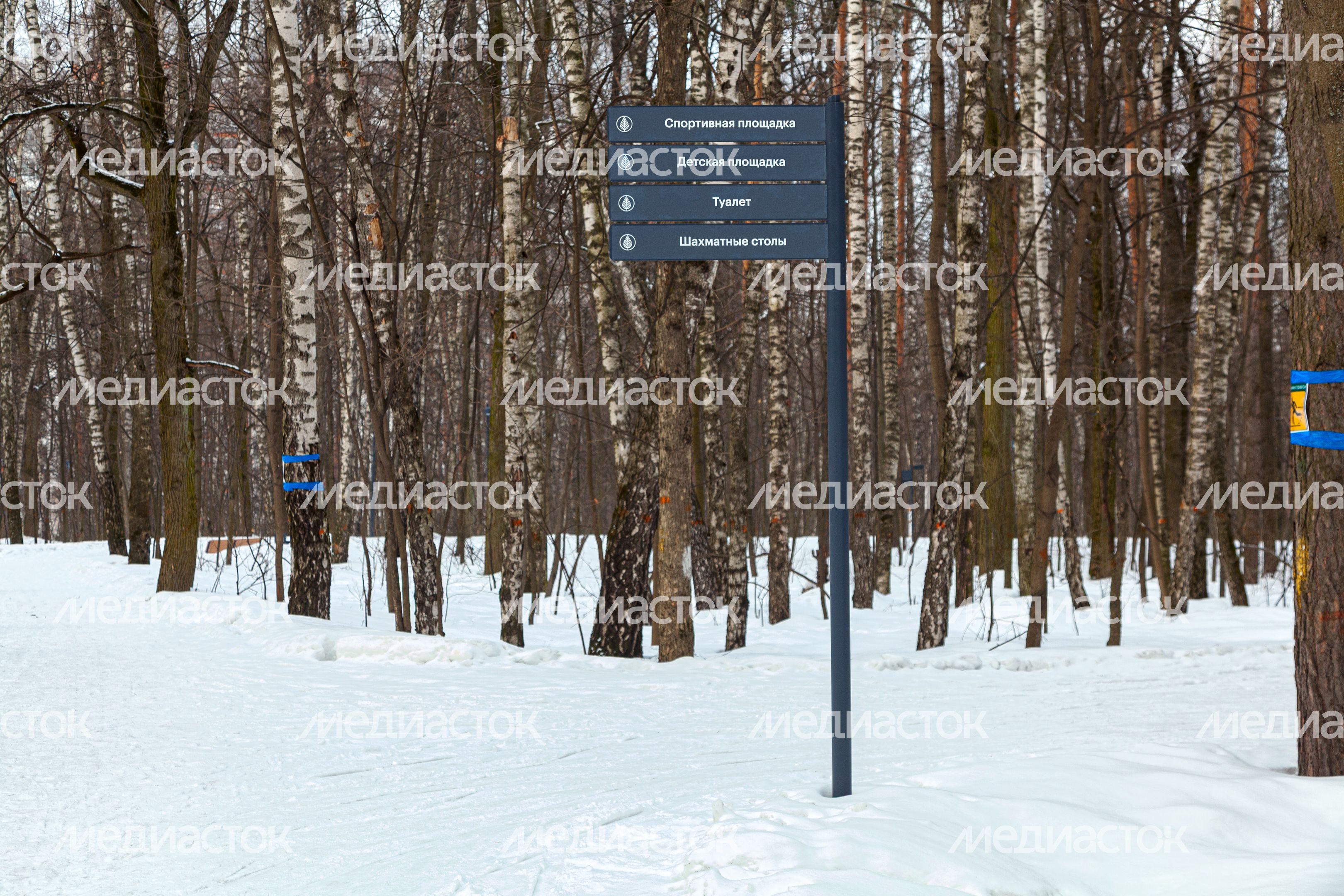 Томилинский лесопарк зимой в городе Дзержинский округа Люберцы Томилинский лесопарк зимой в городе Дзержинский округа Люберцы