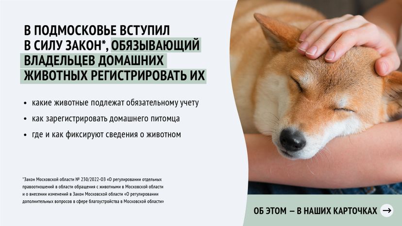 Горизонталь_ зарегистрировать домашнее животное_02-100.jpg