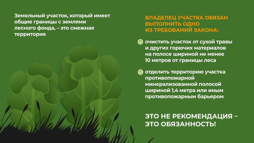пал_гор_7.jpg