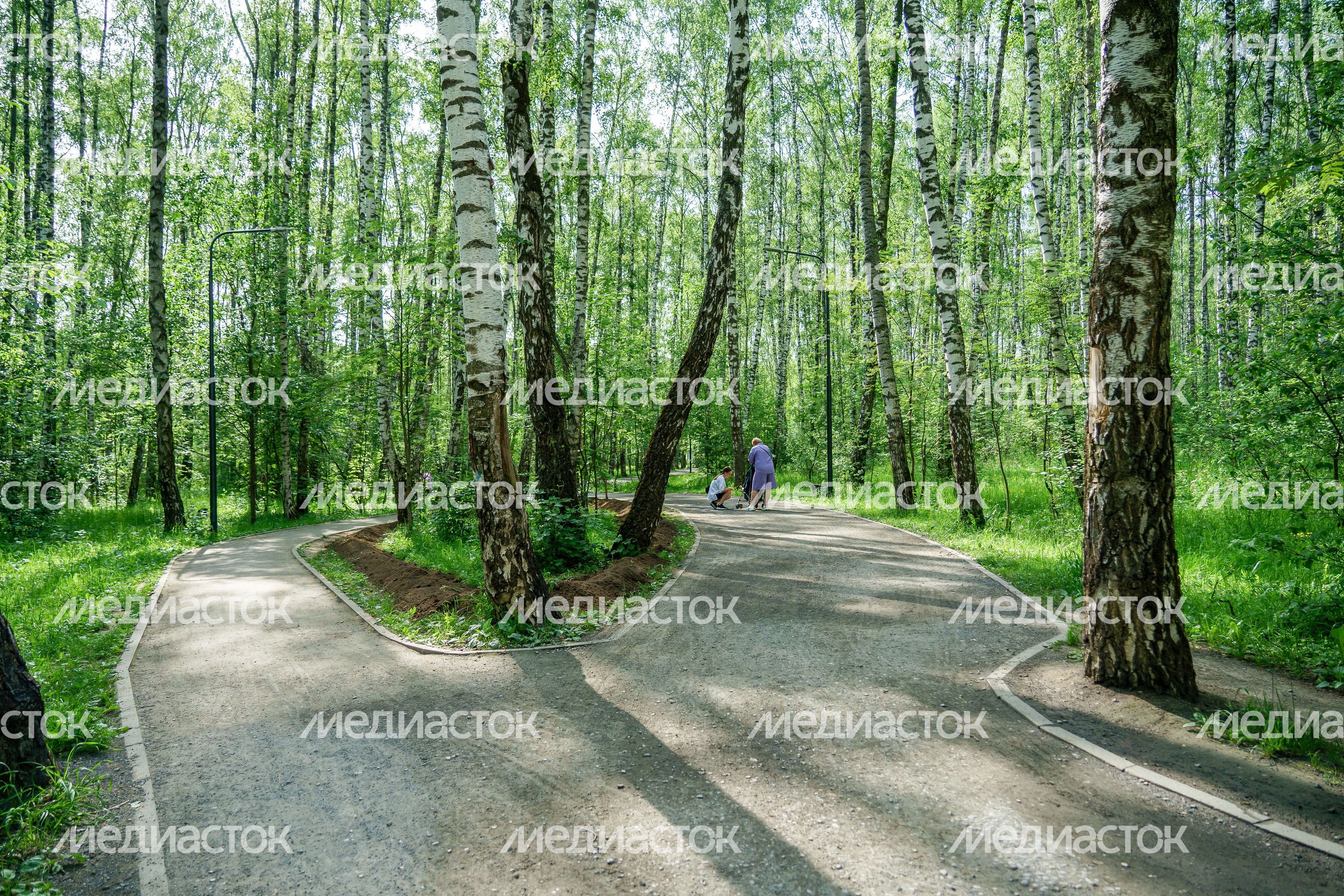 Парк "Городской лес" в Домодедово