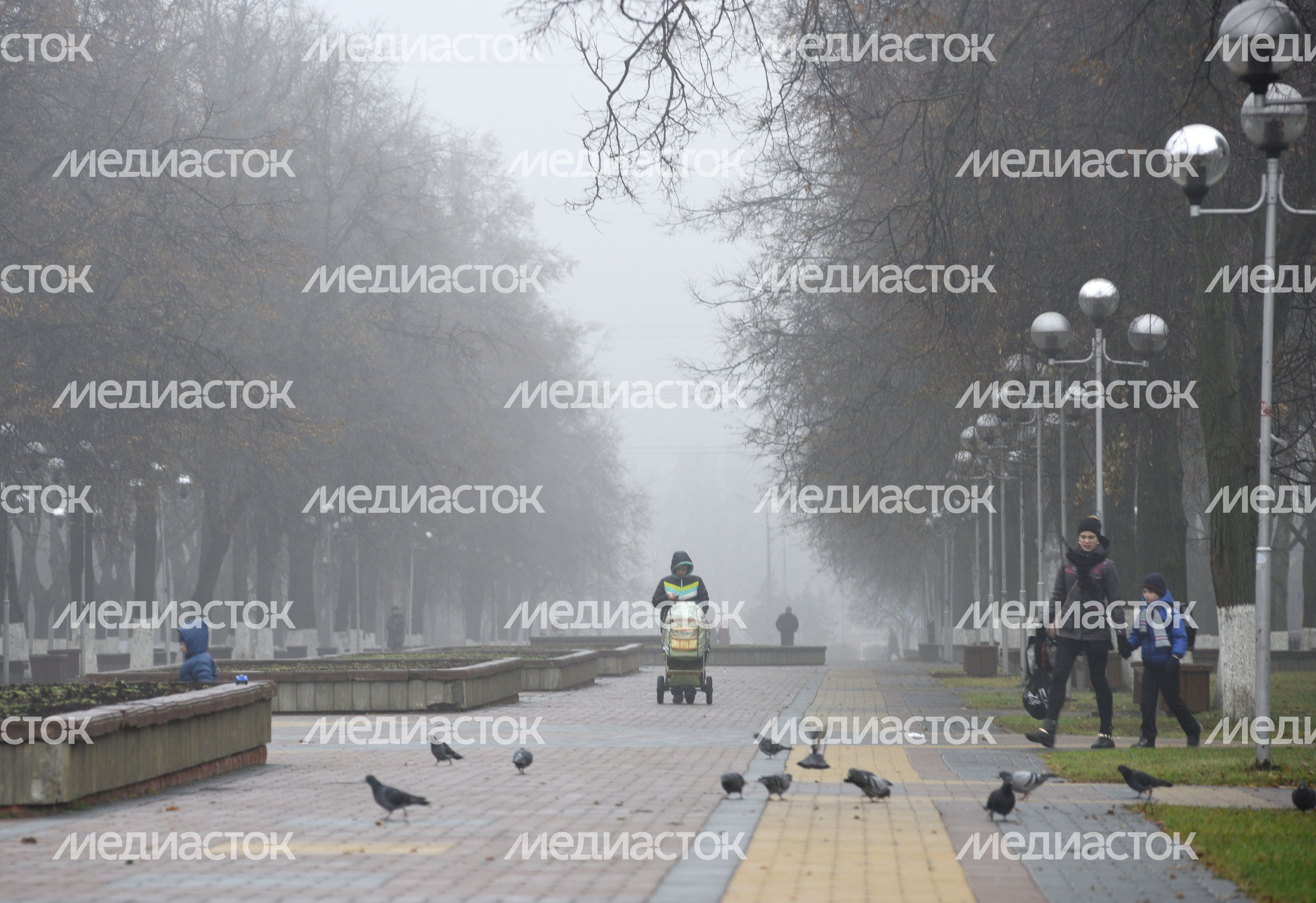 Туман в Жуковском