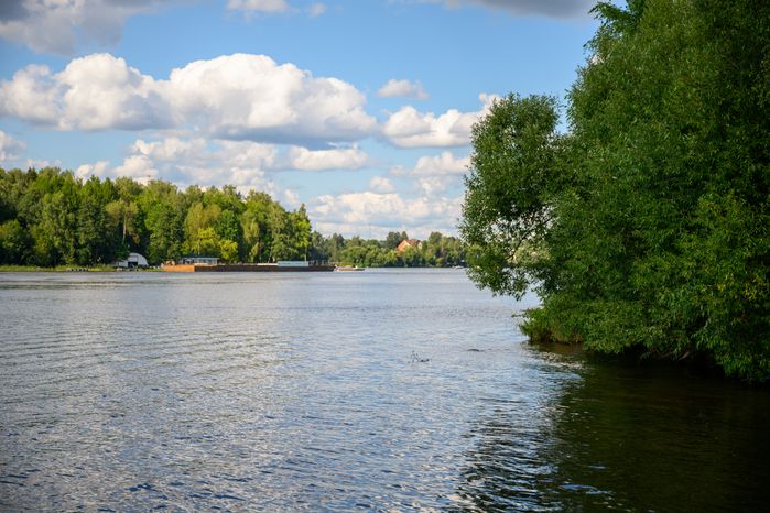 Глэмпинг "Под небом" в Пушкинском городском округе