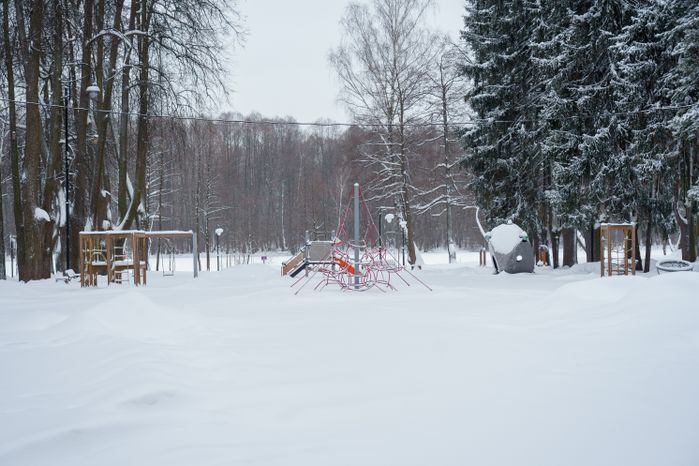 Богородский. Ногинск. Глуховский парк. Зима