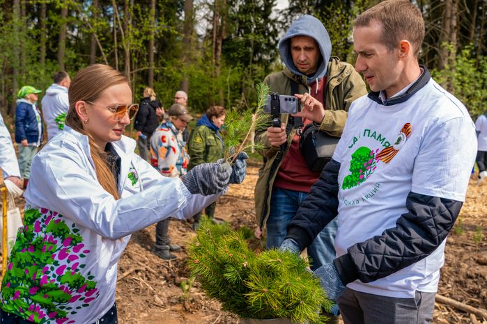Деревья высадили в Рузском округе в рамках акции «Сад Памяти» ко Дню Победы
