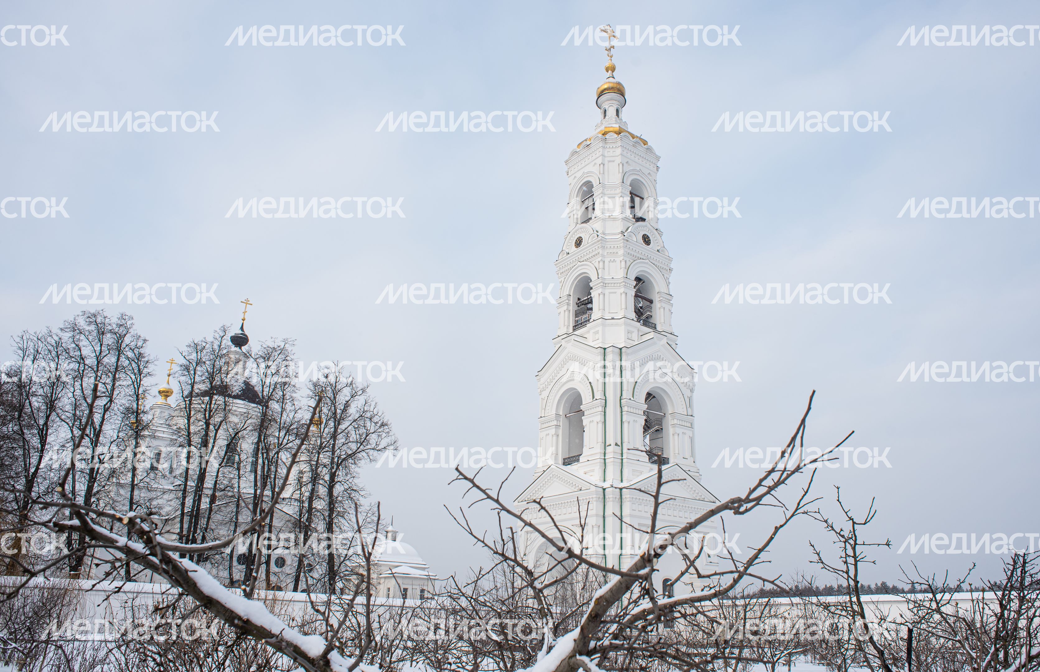 Зимние виды Николо-Берлюковской пустыни