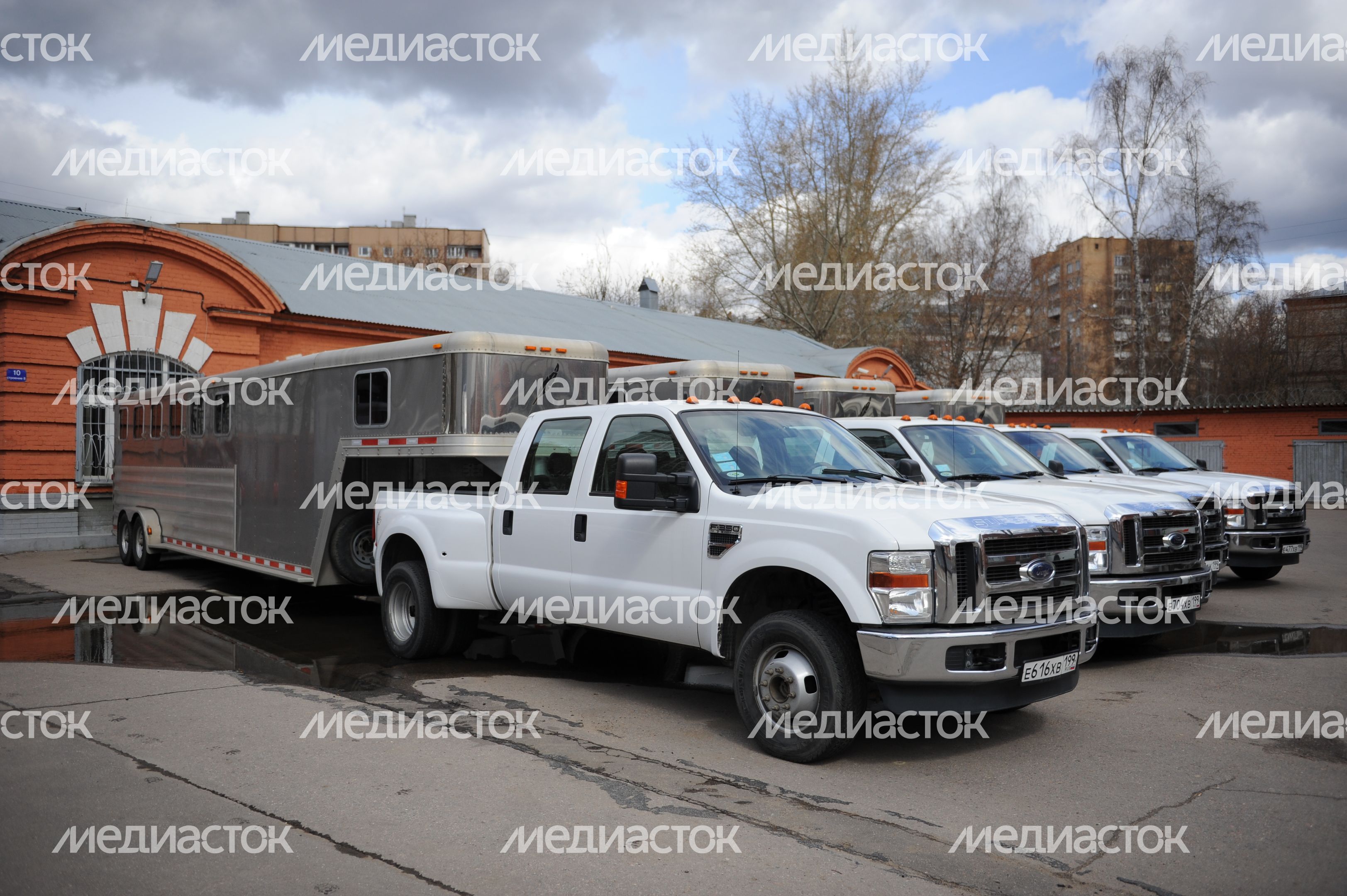 Конная полиция Москвы