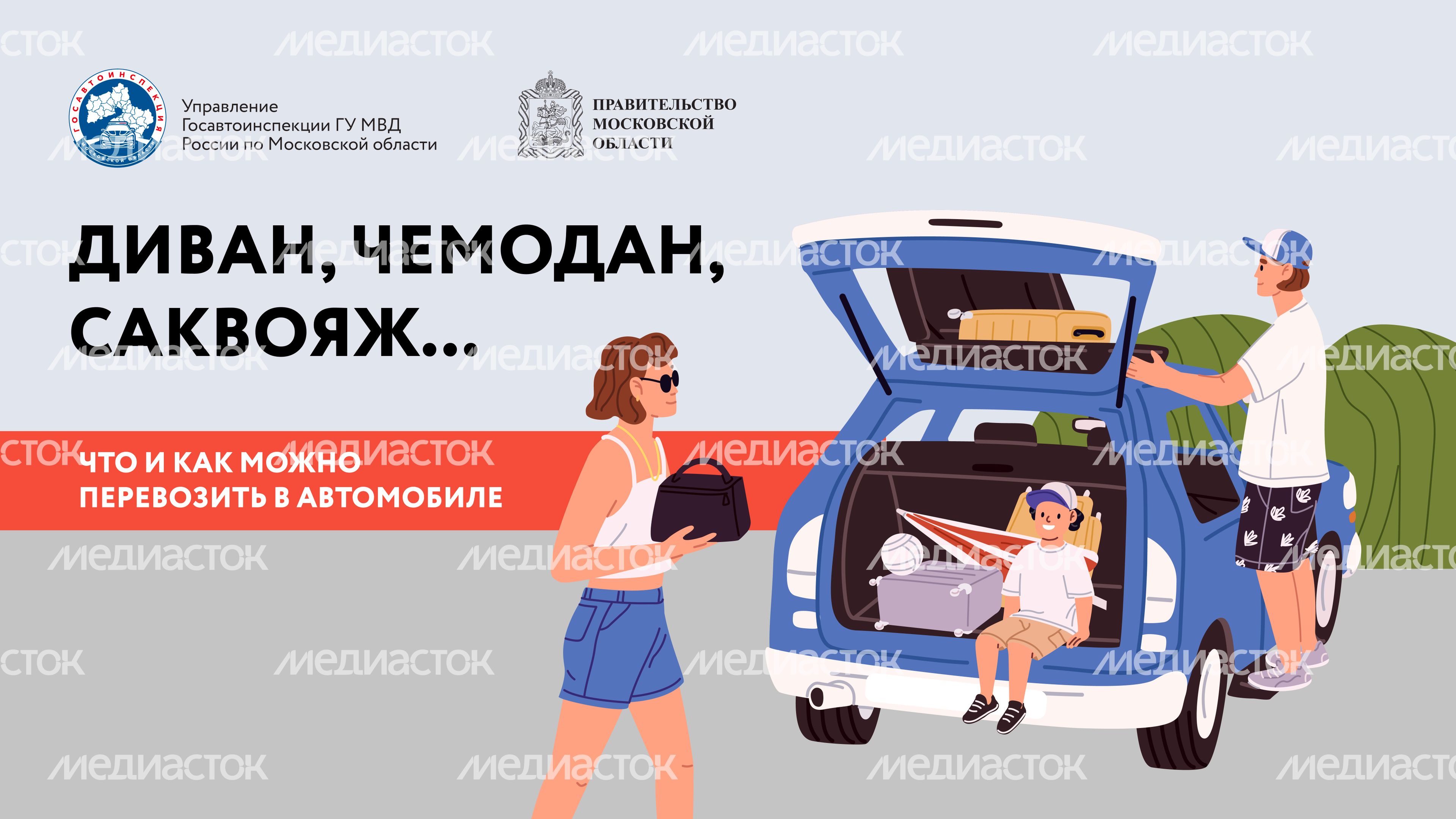 Диван, чемодан, саквояж Горизонталь 01