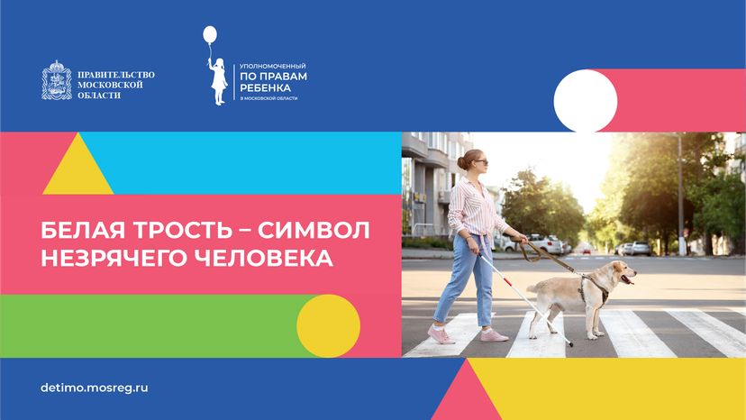 белая трость горизонталь 01.png