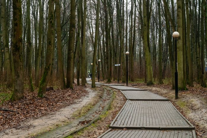 Красногорский городской парк после реконструкции зимой