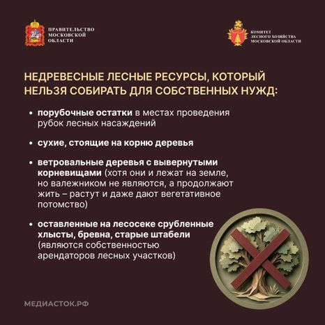 Валежник для собственных нужд квадрат 05