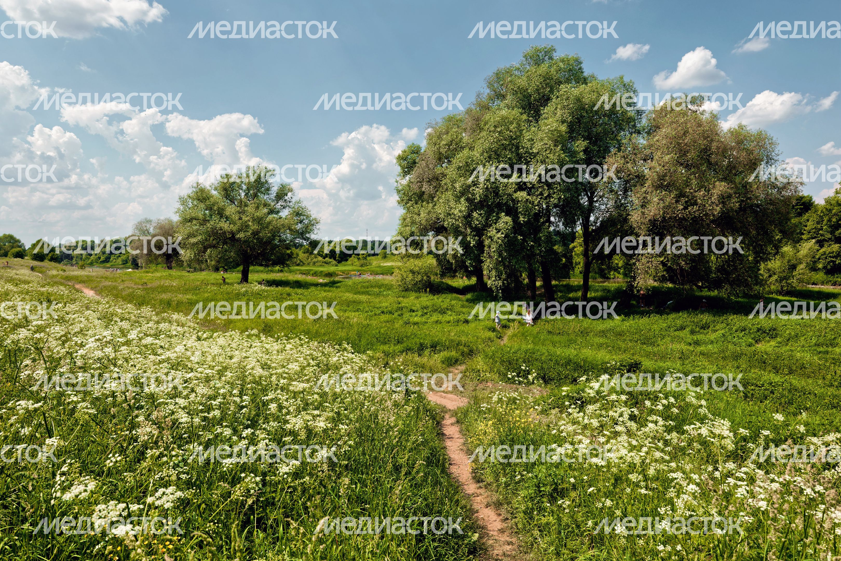 Массовый заплыв на 6 км по Москве-реке на сапах, каяках и байдарках в День России в Звенигороде Одинцовского округа Массовый заплыв на 6 км по Москве-реке на сапах, каяках и байдарках в День России в Звенигороде Одинцовского округа