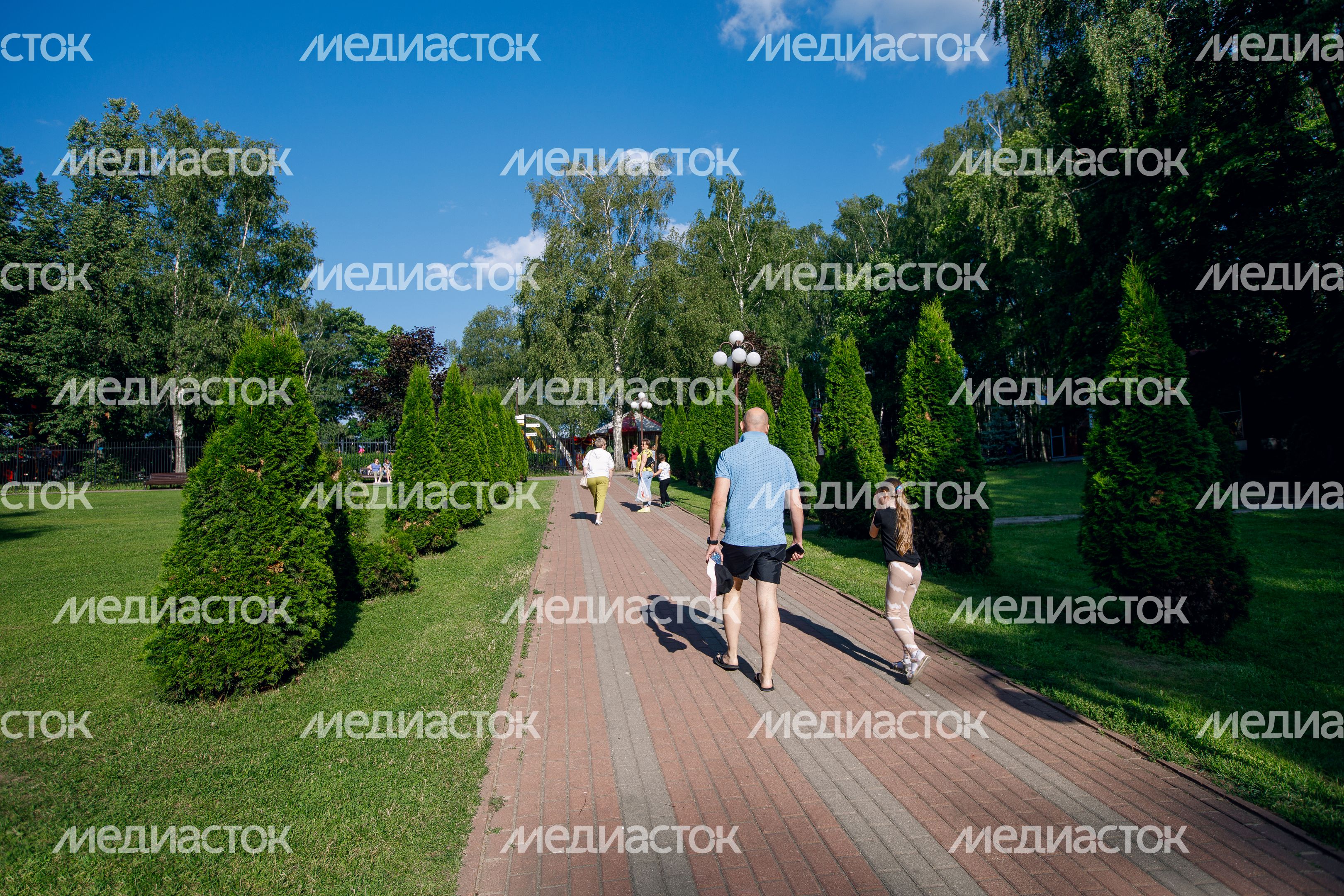 Дмитров. Парк Березовая роща Дмитров. Парк Березовая роща