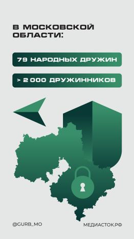 Народные дружины вертикаль 02