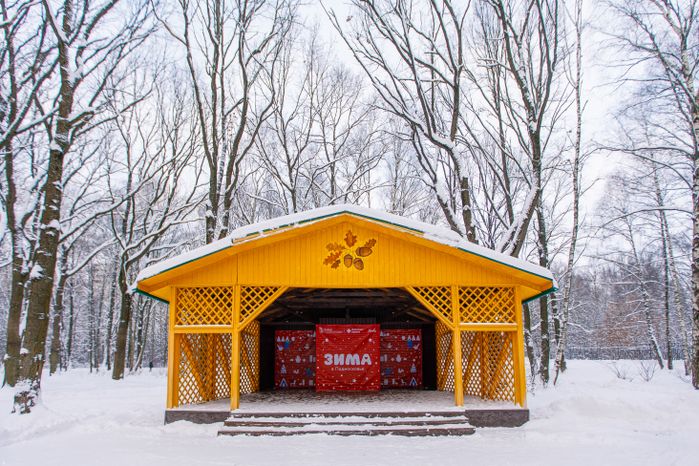 Химки. Парк «Дубки». Зима
