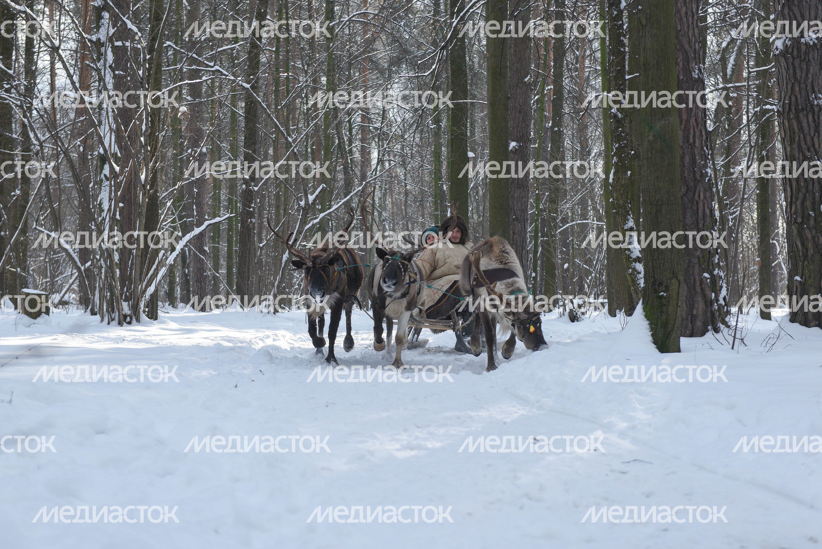 Оленья ферма в Дзержинском