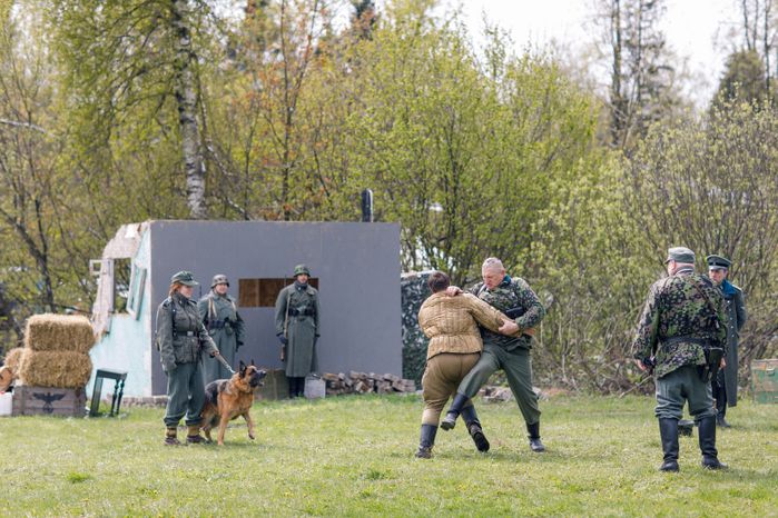 Военно-историческая реконструкция "Третий удар. Освобождение Крыма"