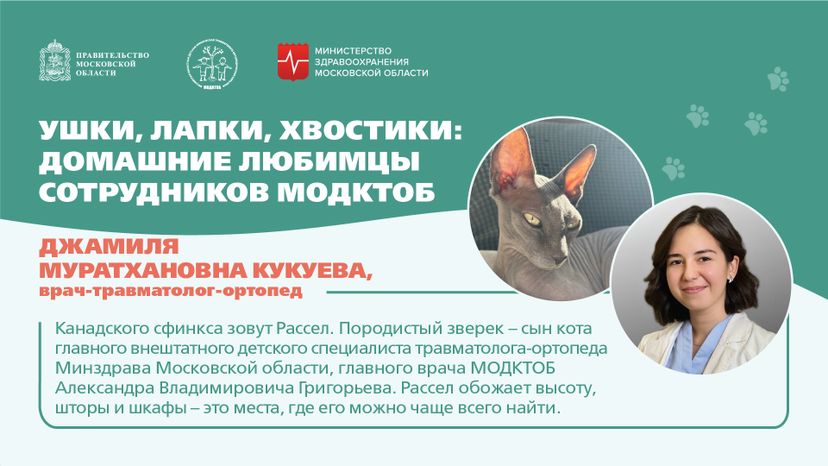 Ушки, лапки, хвостики горизонталь 02
