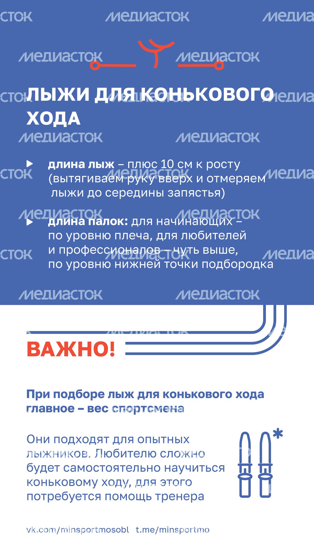 Как выбрать беговые лыжи_Вертикаль-06.jpg