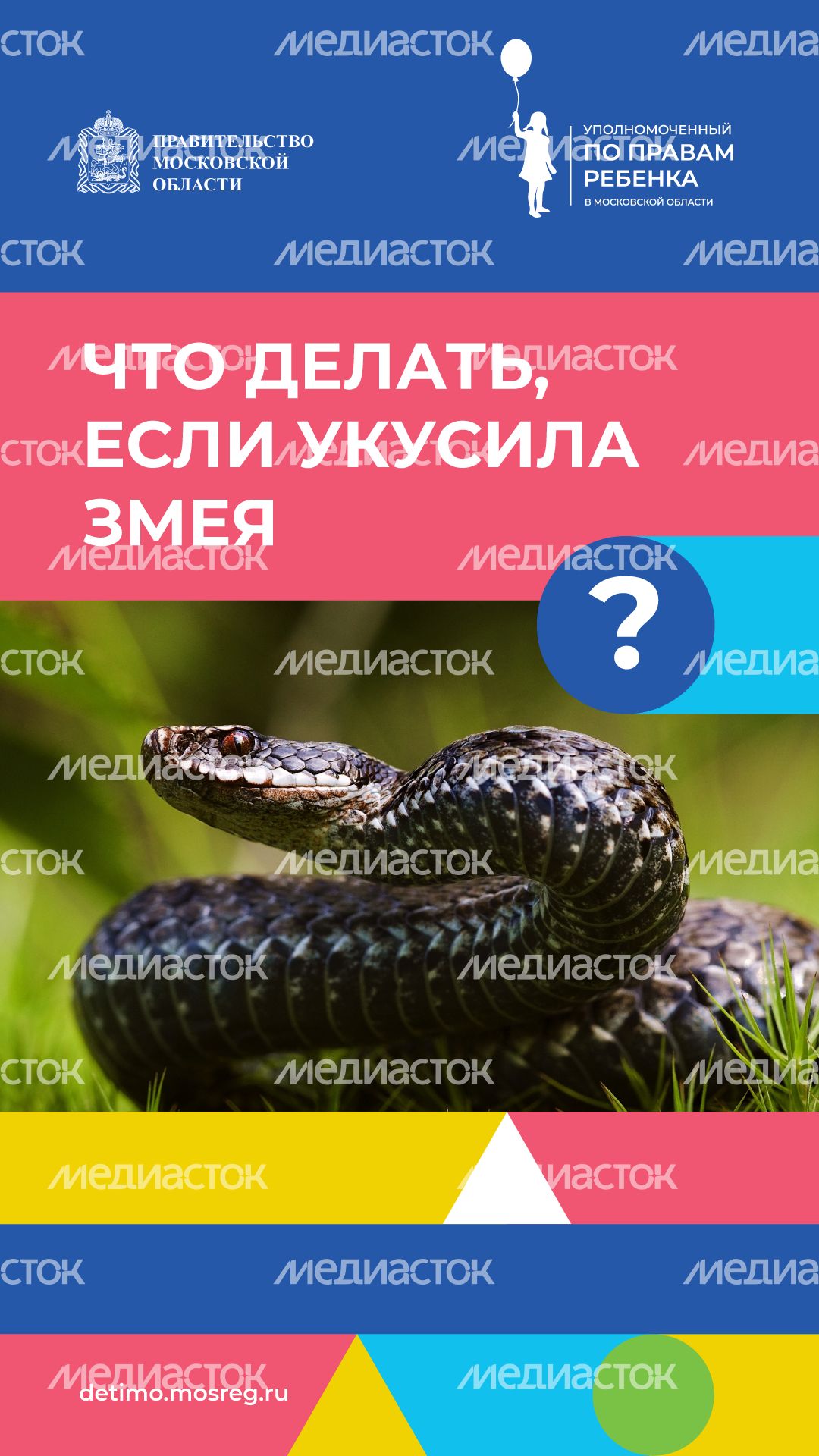 вертикаль что-делать-если-укусила-змея.png