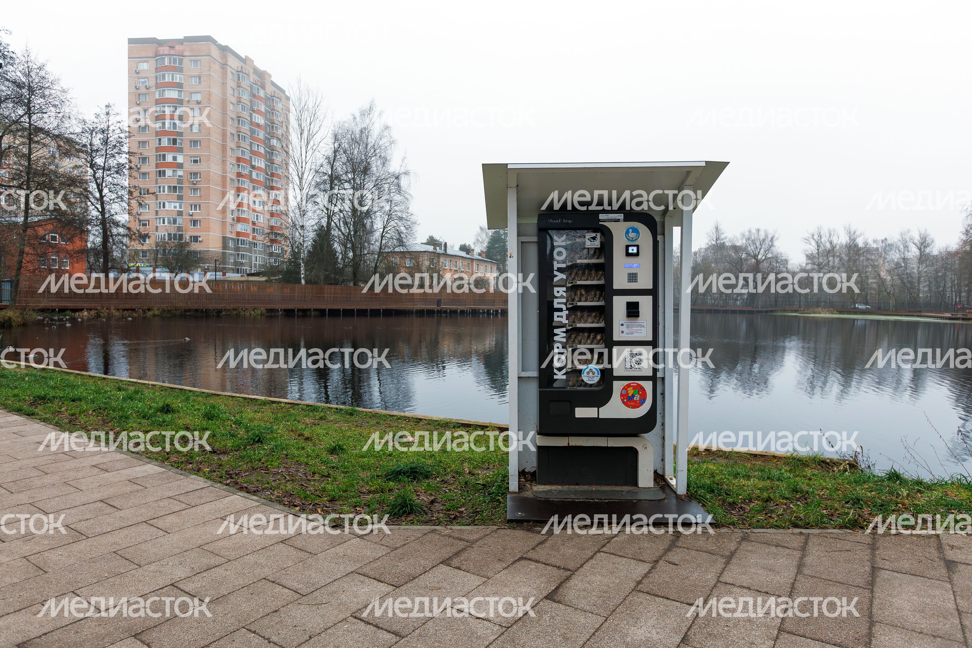 Автомат по продаже корма для уток в парке культуры и отдыха «Свердловский» в поселке Свердловский Автомат по продаже корма для уток в парке культуры и отдыха «Свердловский» в поселке Свердловский