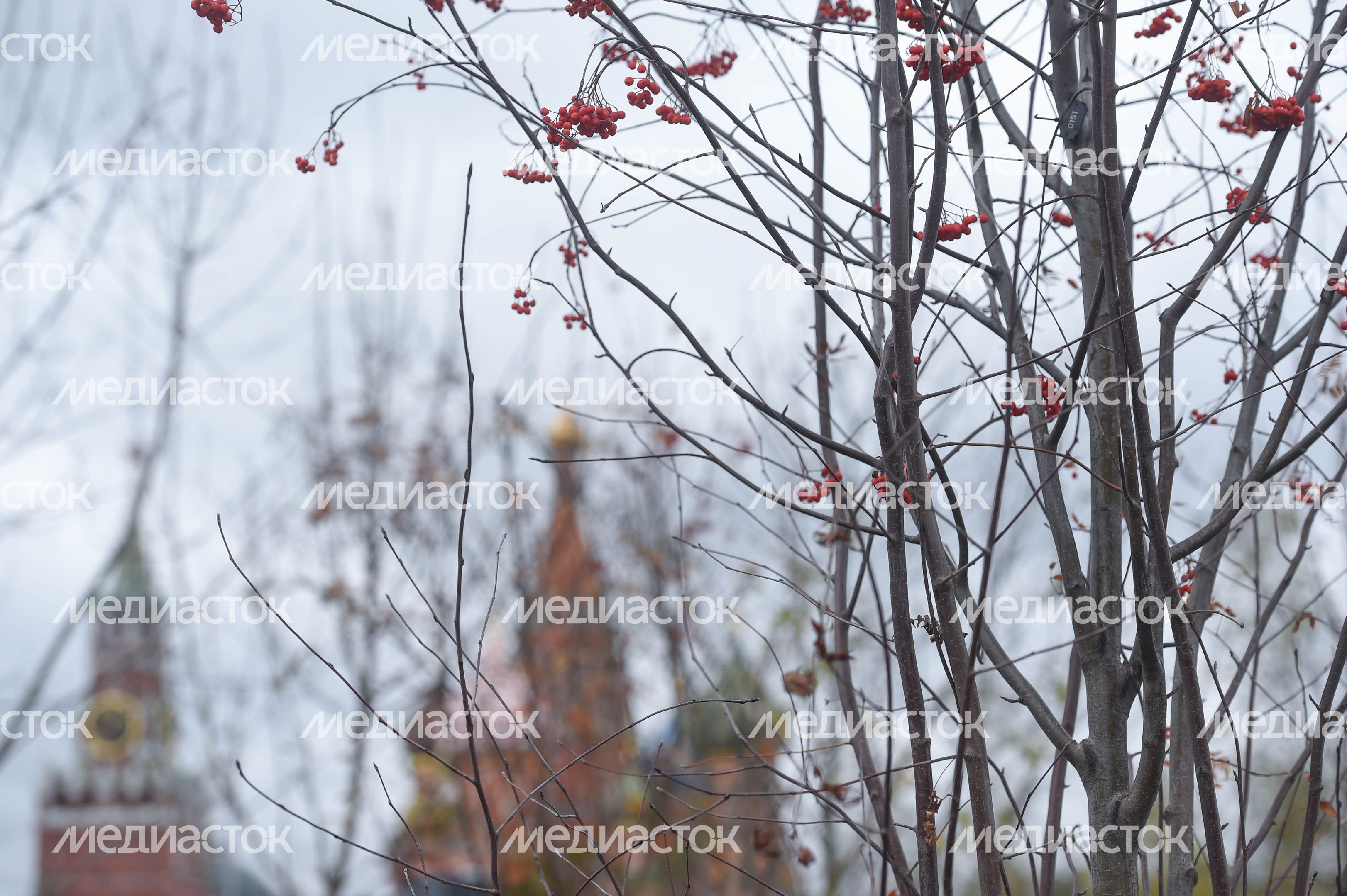 Парк «Зарядье» 