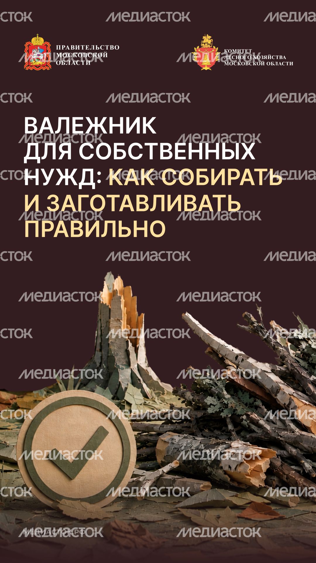 Валежник для собственных нужд вертикаль 01 Валежник для собственных нужд вертикаль 01