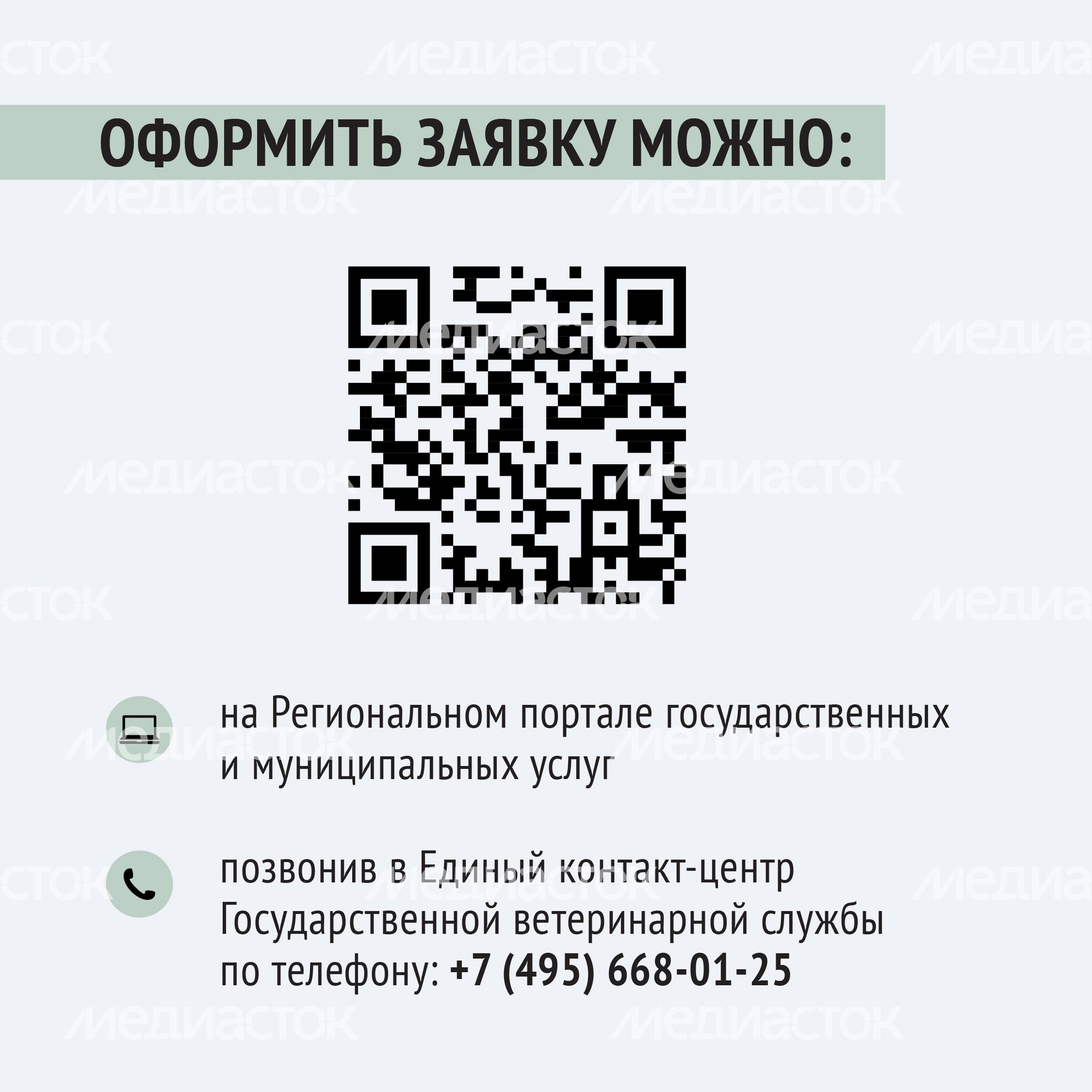 Чипирование-20.jpg