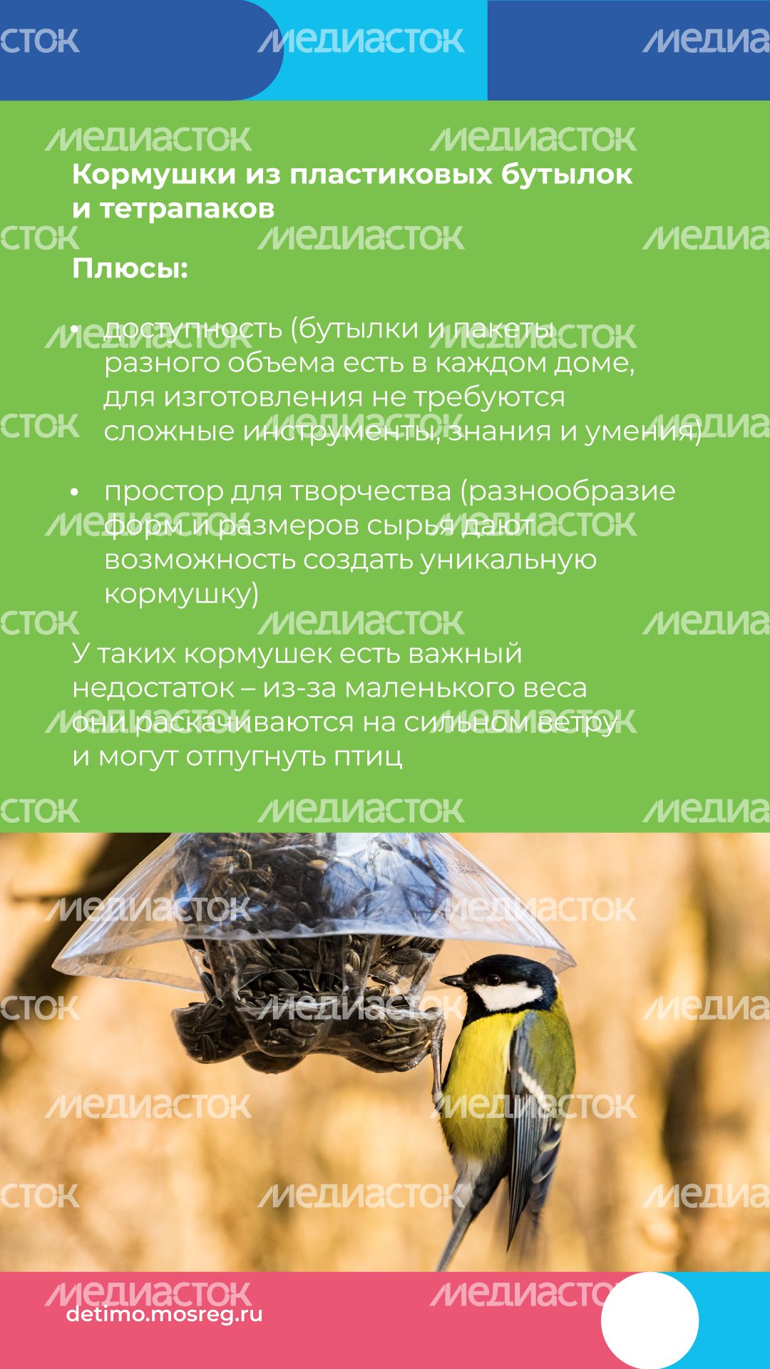 Синичкин_день_вертикаль_07.jpg