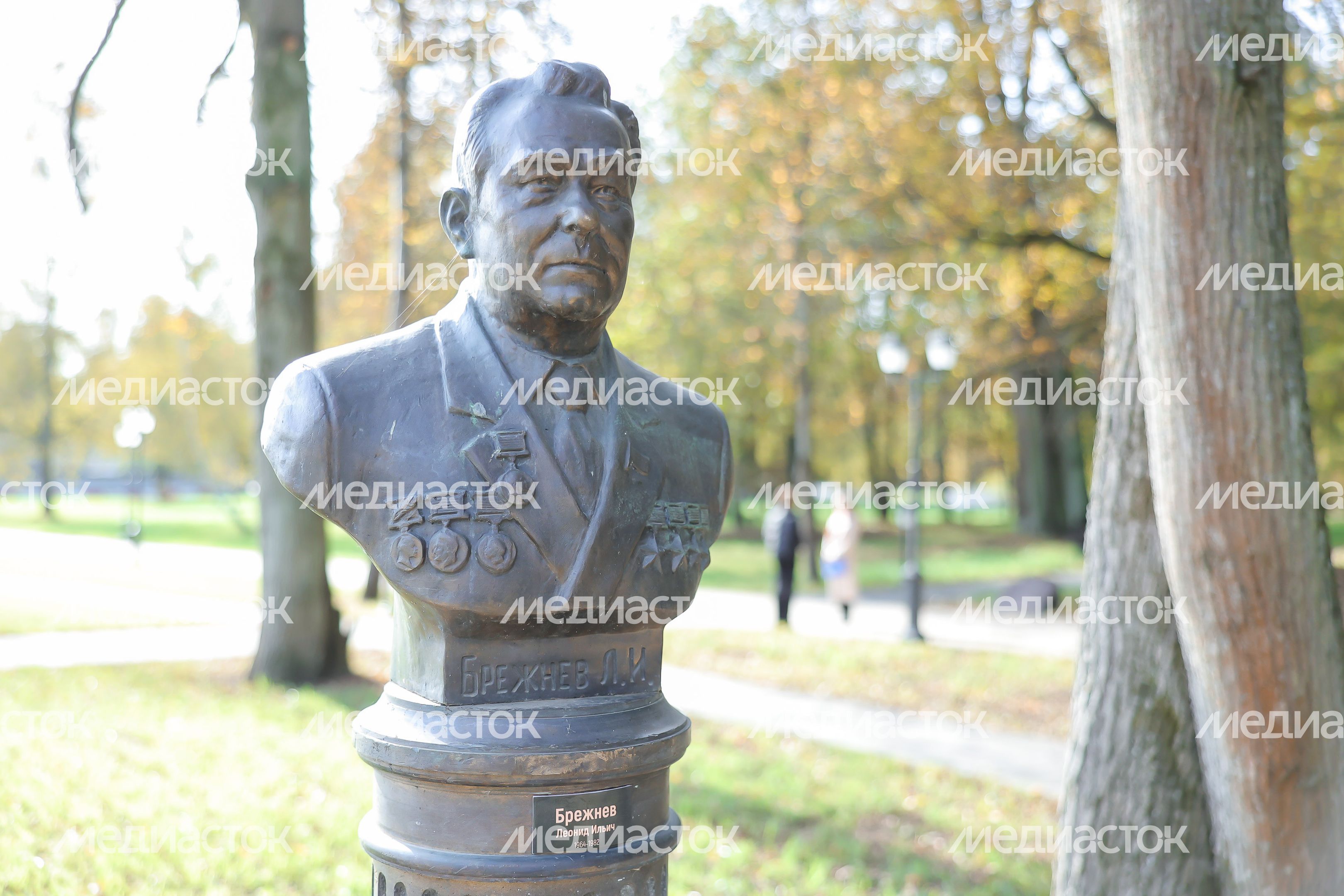 Бюст Леонида Брежнева в Аллее правителей в усадьбе Татищева под Солнечногорском Бюст Леонида Брежнева в Аллее правителей в усадьбе Татищева под Солнечногорском