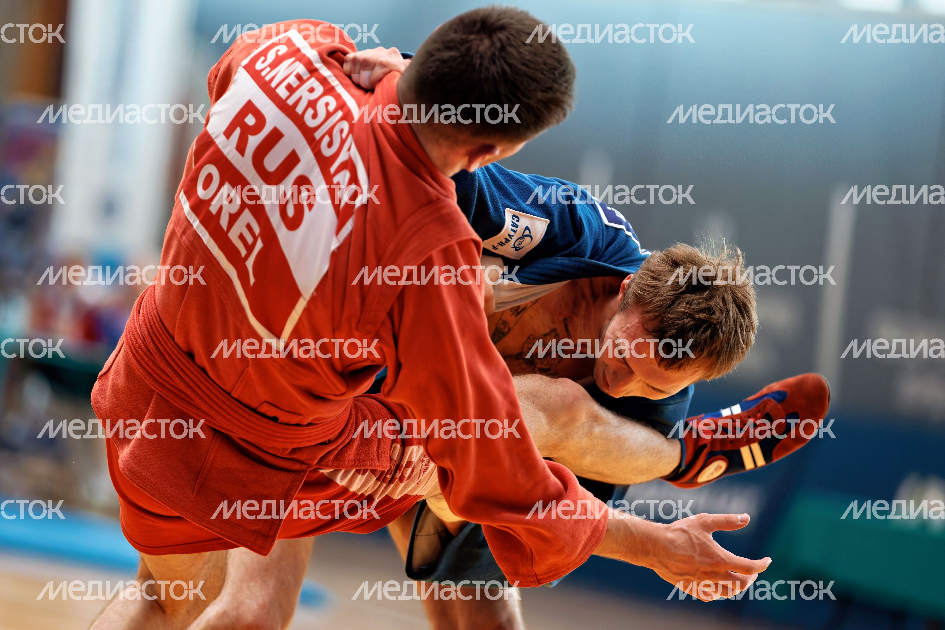 Всероссийские соревнования по самбо в Домодедово