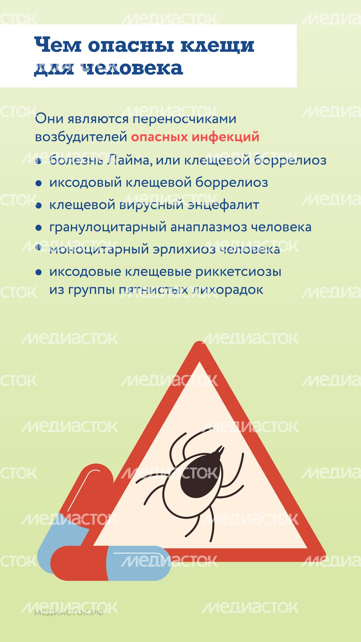 Как защититься от клещей вертикаль 03 Как защититься от клещей вертикаль 03