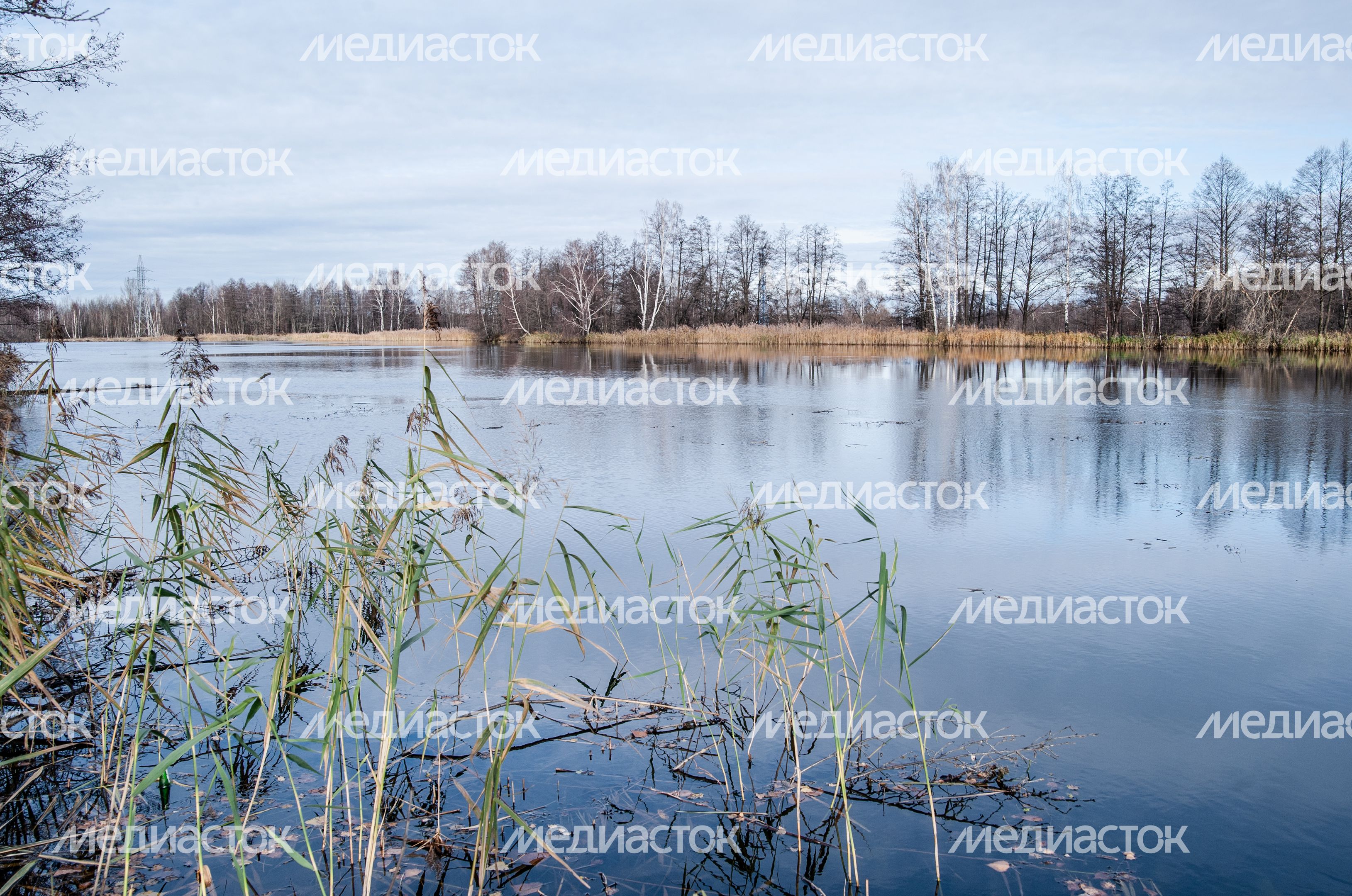 Виды города Электрогорск