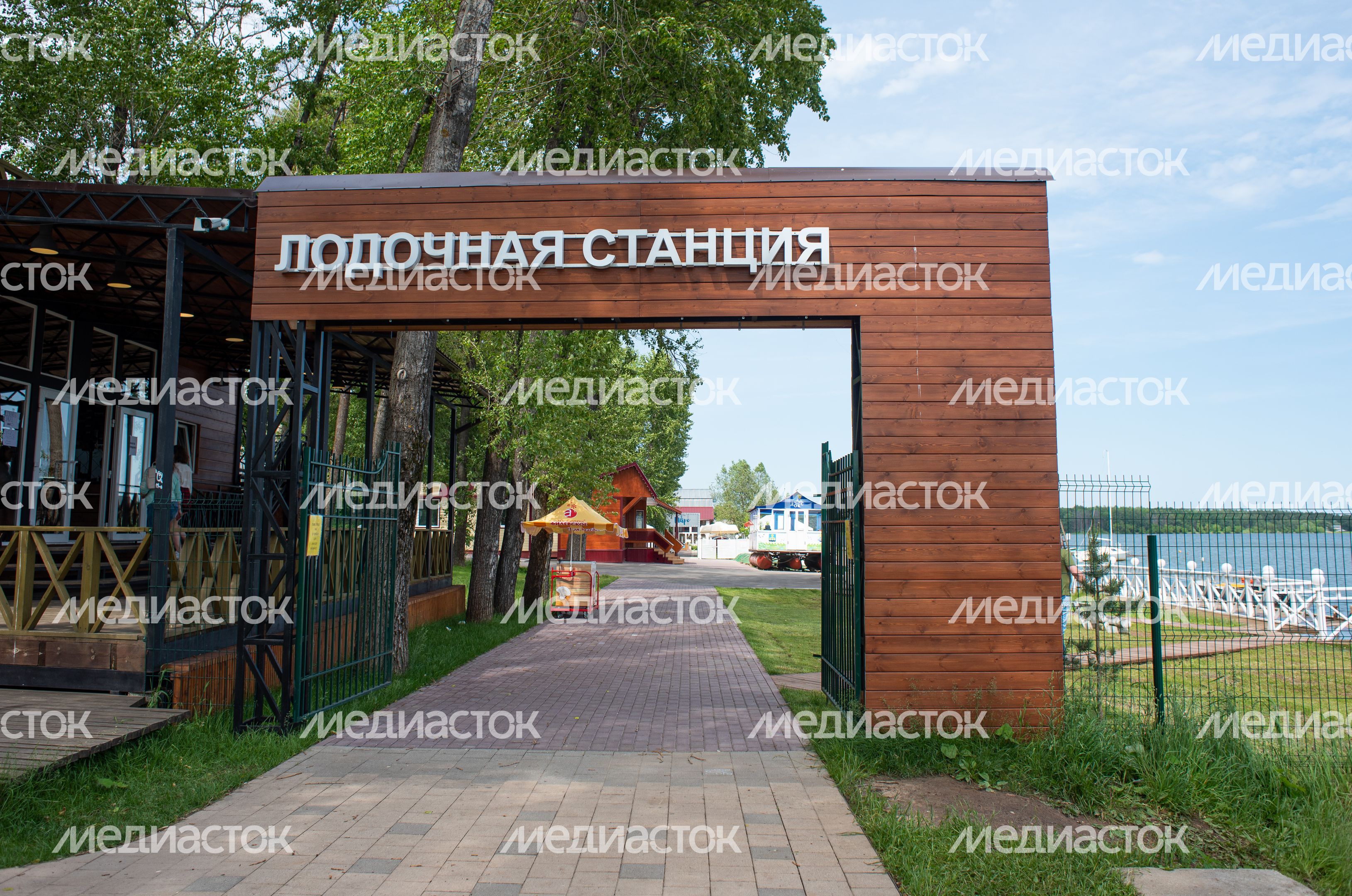Летние виды озера Сенеж