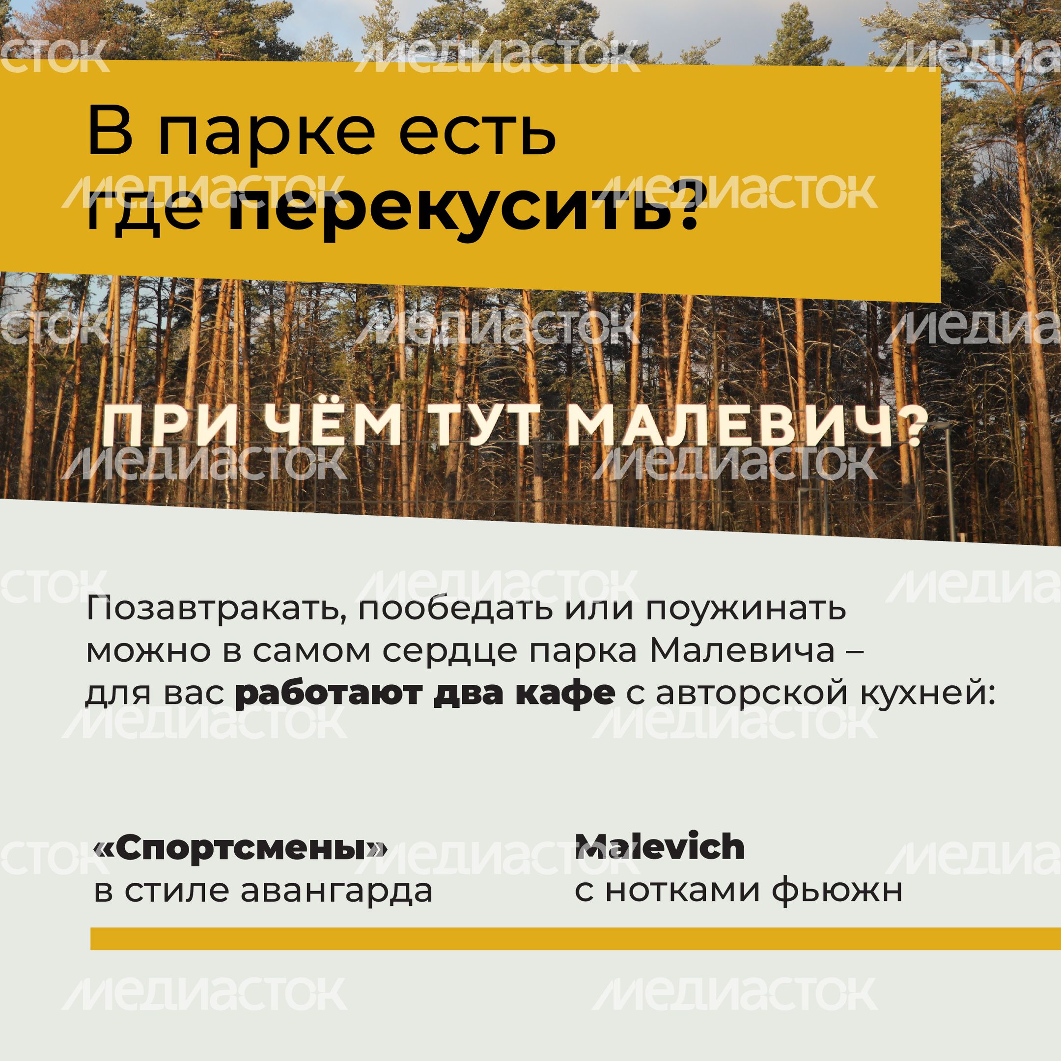 Парк Малевича-20.jpg