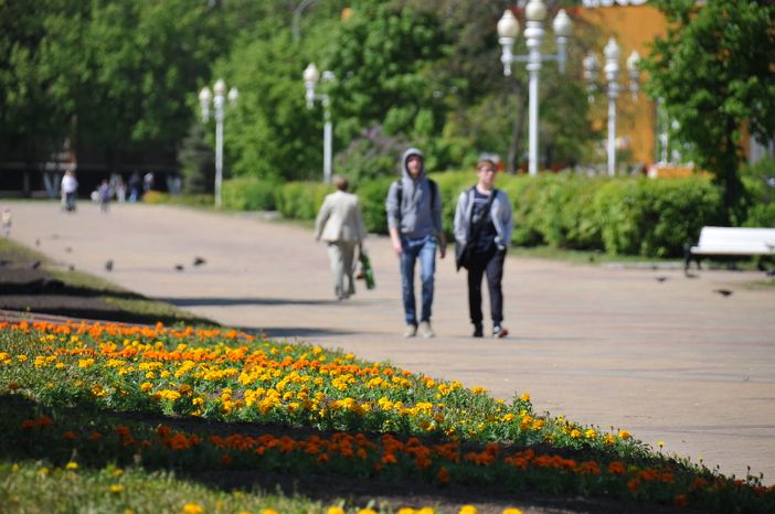 Озеленение в Ступино