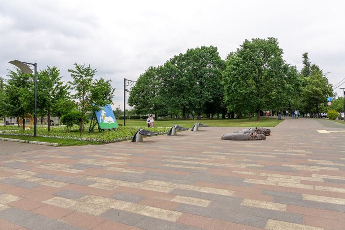 Бегемоты