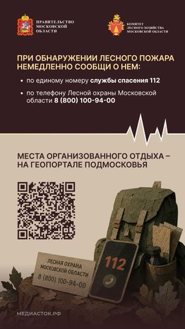 Пребывание граждан в лесах Вертикаль 10