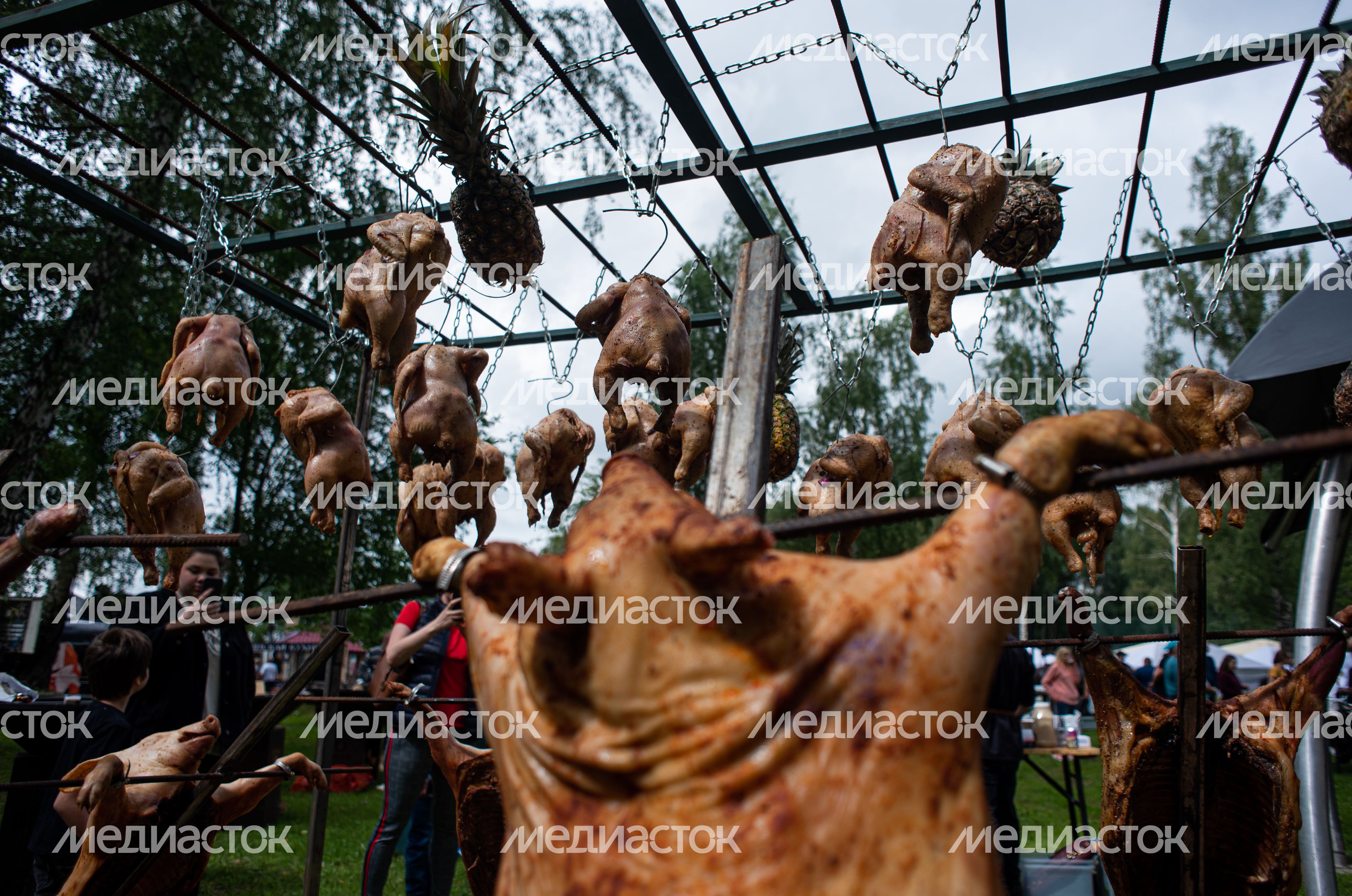 Гастрономический фестиваль Alpaca Wellbeing Fest