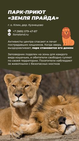 Фермы с животными