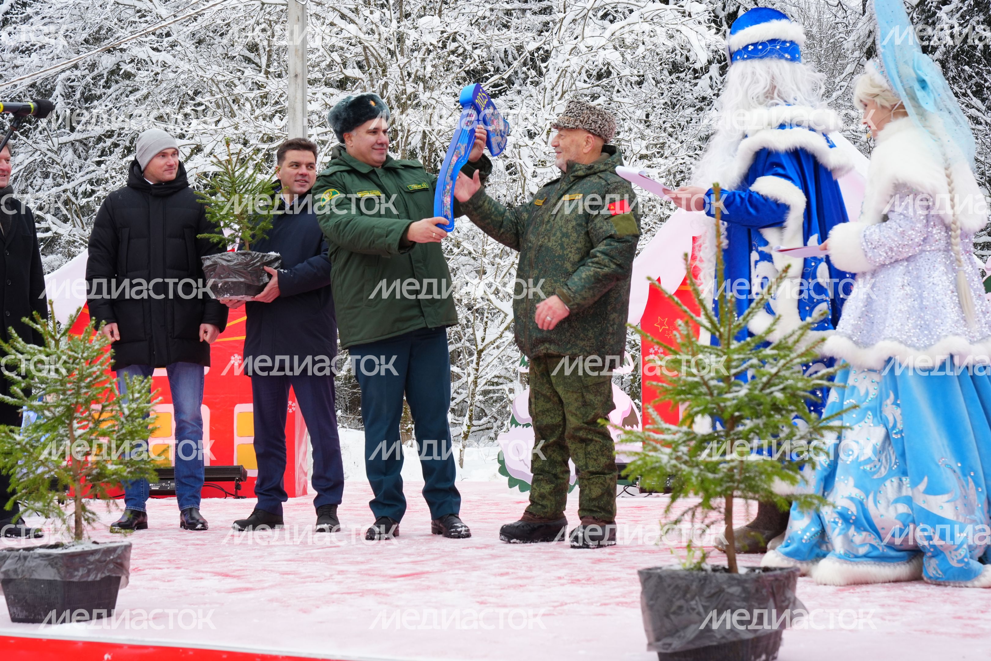 В Можайском городском округе спилили главную новогоднюю ель страны В Можайском городском округе спилили главную новогоднюю ель страны