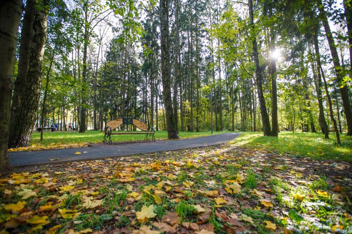 Краснознаменск. Парк «Беличий»