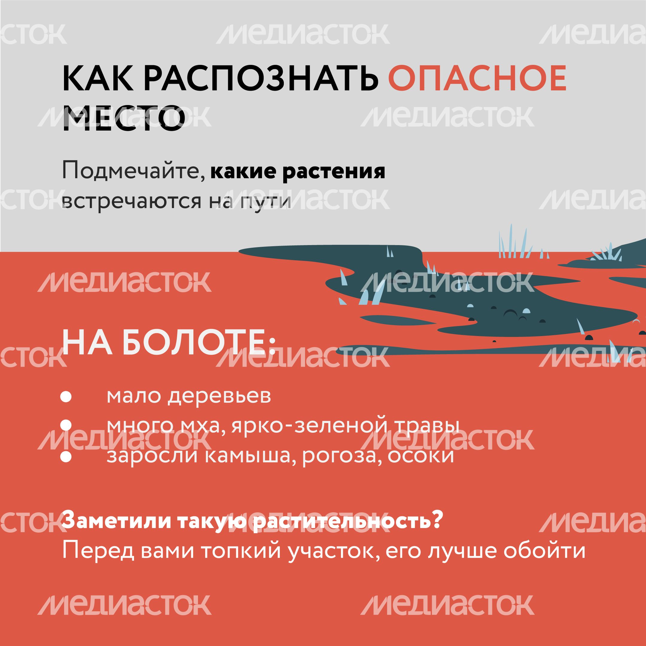 Болото-Квадрат-05.jpg