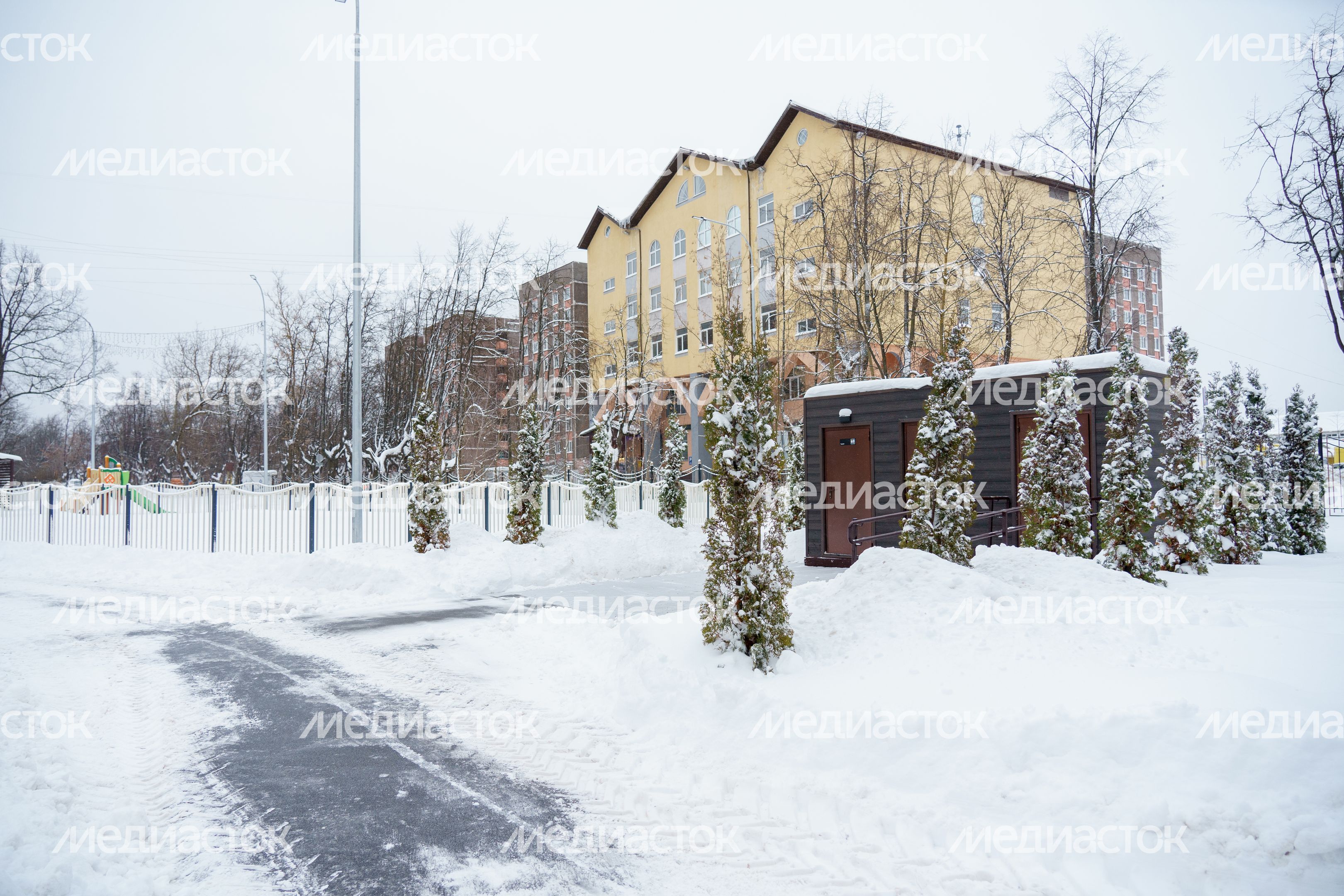 Богородский. Ногинск. Глуховский парк. Зима