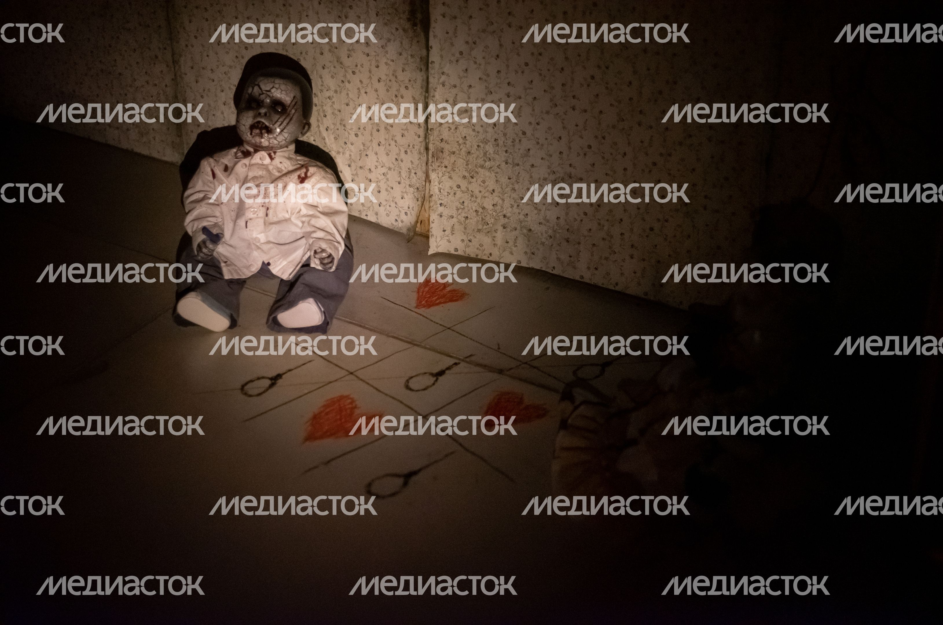 Виды музея Мёртвых Кукол
