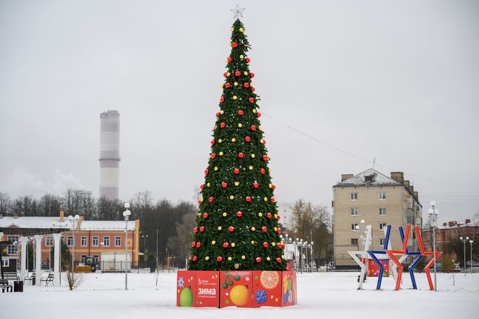Новогодняя елка в городском парке культуры и отдыха Электрогорска Павлово-Посадского округа зимой