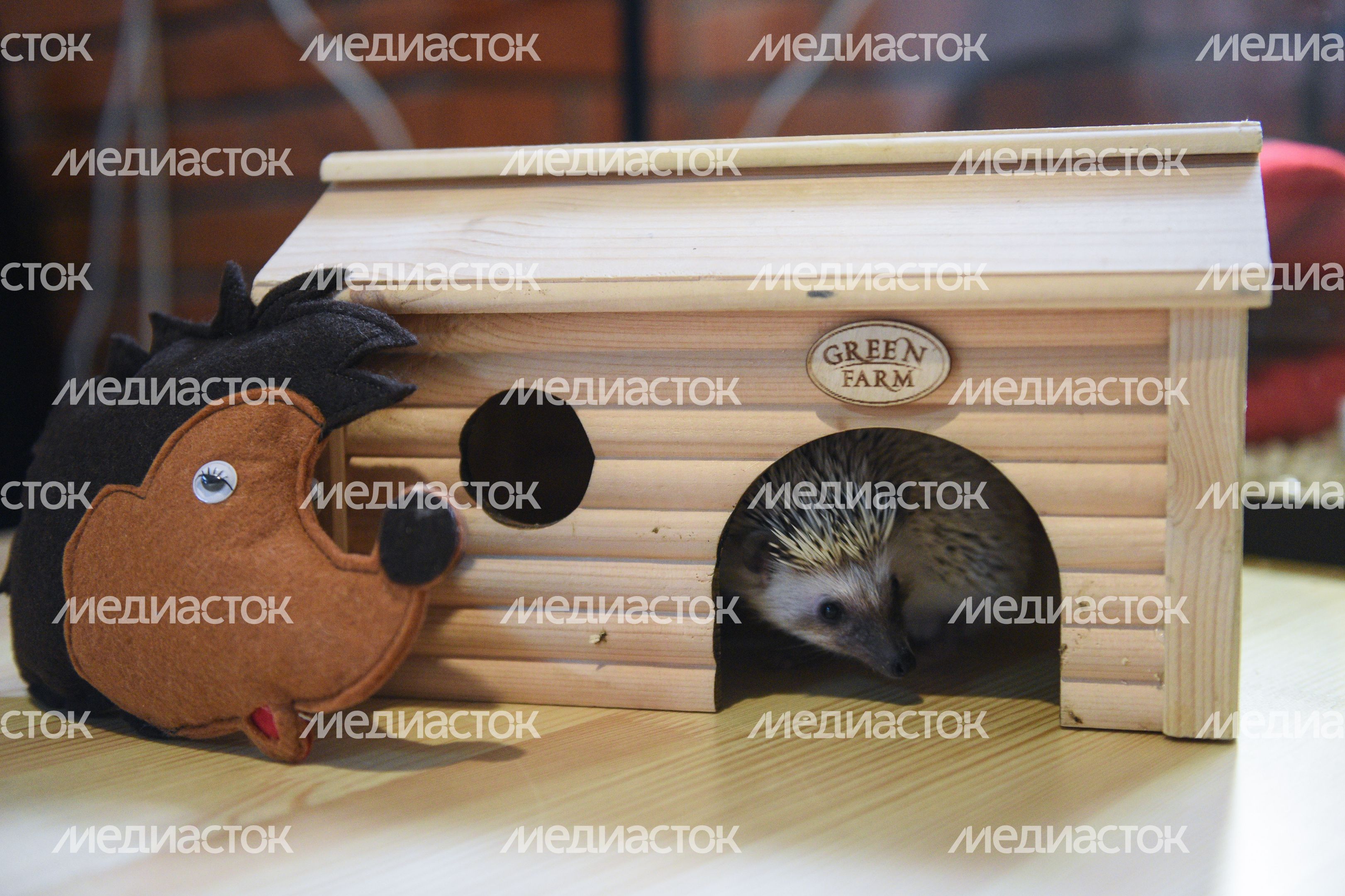 Кафе «Ежеминутка»