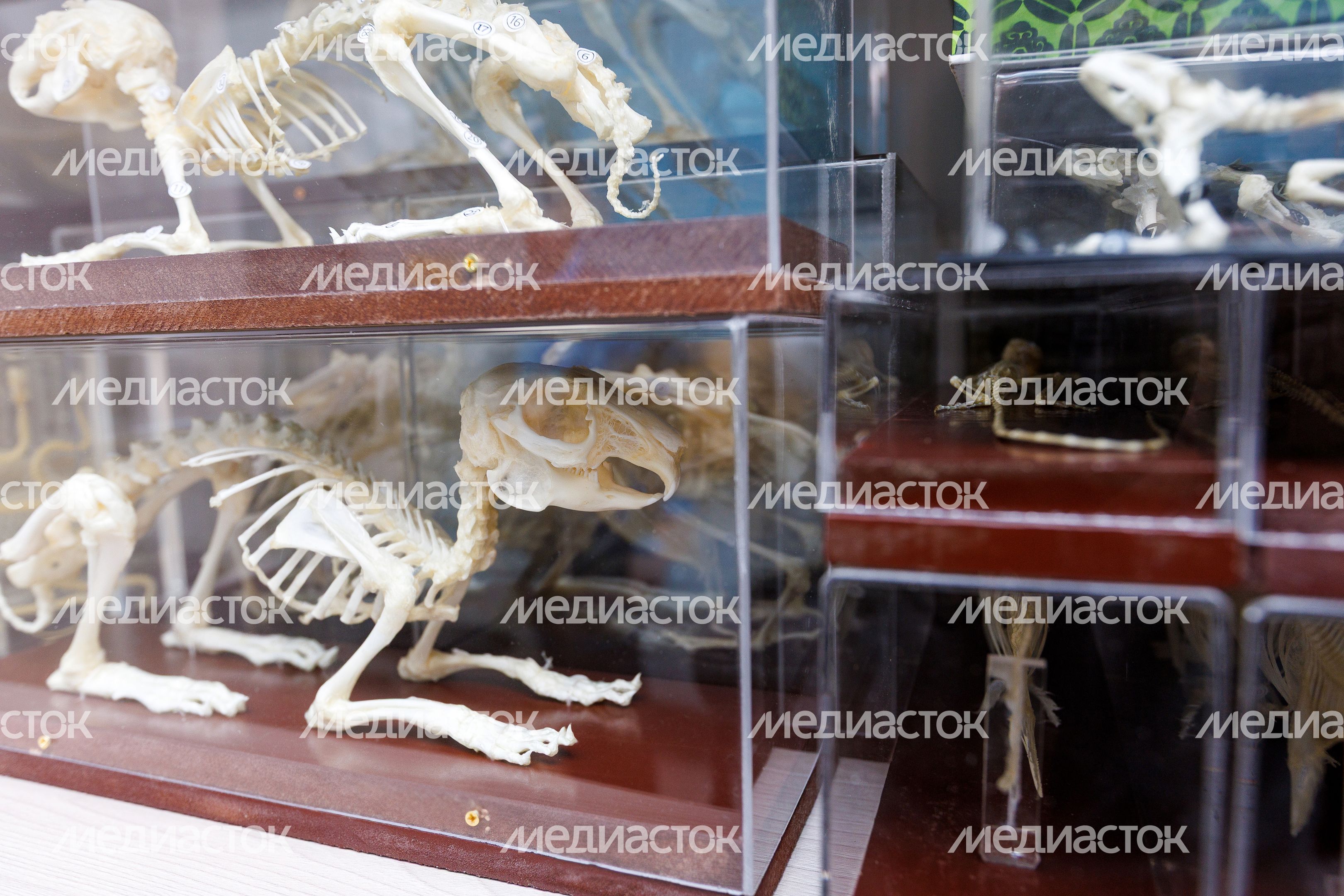 Ногинский Центр образования №5 после капитального ремонта и новая пристройка на 550 мест Ногинский Центр образования №5 после капитального ремонта и новая пристройка на 550 мест