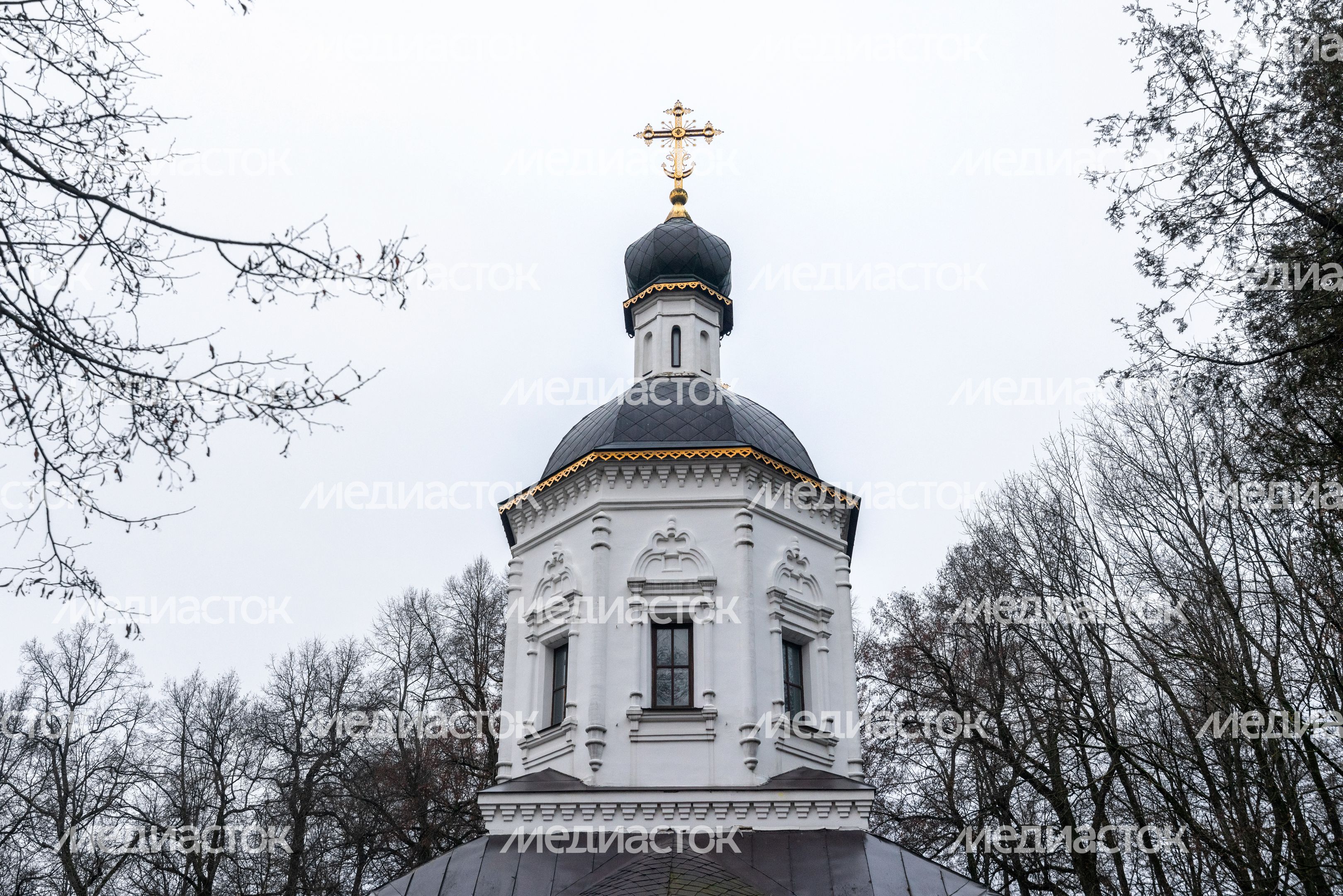 Церковь Рождества Пресвятой Богородицы в деревне Васькино округа Чехов Церковь Рождества Пресвятой Богородицы в деревне Васькино округа Чехов