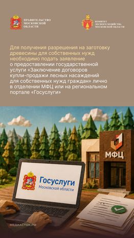 Как заготовить древесину вертикаль 05